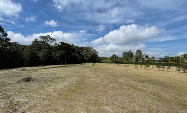 Lote en Venta - San Miguel de los pinos