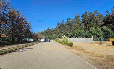 Oportunidad constructoras , 02 terrenos  en Curauma  para uso habitacional