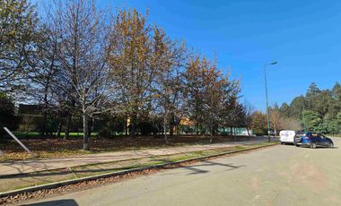 Oportunidad constructoras , 02 terrenos  en Curauma  para uso habitacional