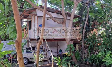 House with 4 Apartments for Sale located in Doljo, Panglao Island, Bohol