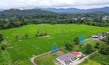 Land in Doi Saket for Sale 4 lots with mountain view