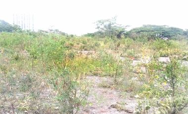 44824 Lote Independiente en arriendo en el sector Copacaba