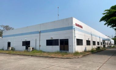 Factory 2,520 sq m. for rent in Rojana Industrial Park Zone A