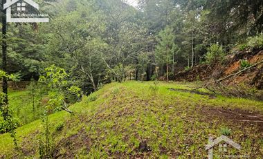 BONITO TERRENO EN MINERAL DEL CHICO CARBONERAS