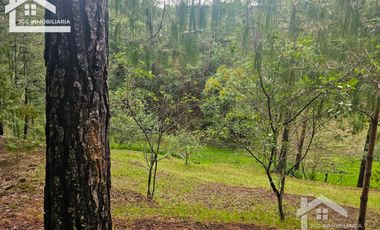 BONITO TERRENO EN MINERAL DEL CHICO CARBONERAS