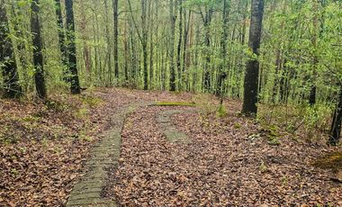BONITO TERRENO EN MINERAL DEL CHICO CARBONERAS
