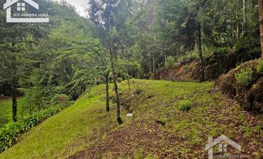 BONITO TERRENO EN MINERAL DEL CHICO CARBONERAS