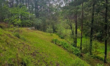BONITO TERRENO EN MINERAL DEL CHICO CARBONERAS