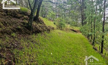BONITO TERRENO EN MINERAL DEL CHICO CARBONERAS