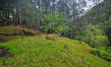 BONITO TERRENO EN MINERAL DEL CHICO CARBONERAS