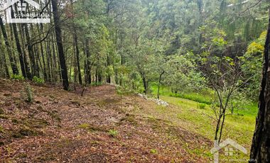 BONITO TERRENO EN MINERAL DEL CHICO CARBONERAS