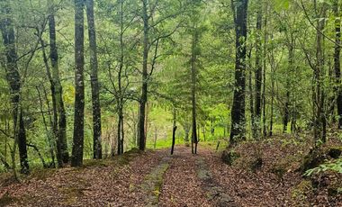 BONITO TERRENO EN MINERAL DEL CHICO CARBONERAS