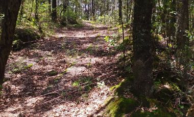 BONITO TERRENO EN MINERAL DEL CHICO CARBONERAS