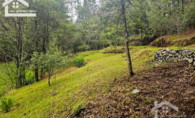 BONITO TERRENO EN MINERAL DEL CHICO CARBONERAS