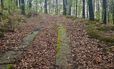 BONITO TERRENO EN MINERAL DEL CHICO CARBONERAS
