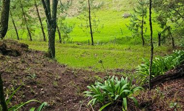 BONITO TERRENO EN MINERAL DEL CHICO CARBONERAS