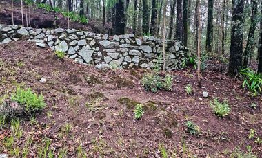 BONITO TERRENO EN MINERAL DEL CHICO CARBONERAS