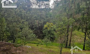 BONITO TERRENO EN MINERAL DEL CHICO CARBONERAS