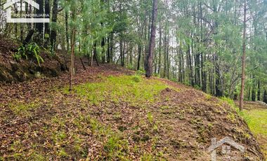 BONITO TERRENO EN MINERAL DEL CHICO CARBONERAS