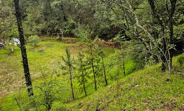 BONITO TERRENO EN MINERAL DEL CHICO CARBONERAS