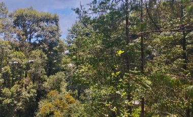 BONITO TERRENO EN MINERAL DEL CHICO CARBONERAS