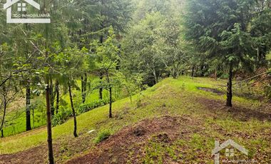 BONITO TERRENO EN MINERAL DEL CHICO CARBONERAS