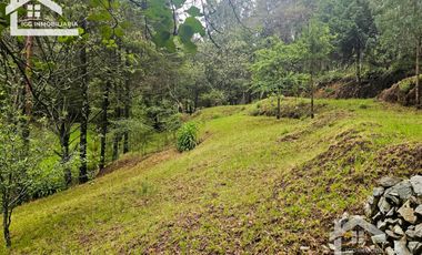 BONITO TERRENO EN MINERAL DEL CHICO CARBONERAS