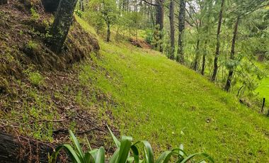 BONITO TERRENO EN MINERAL DEL CHICO CARBONERAS
