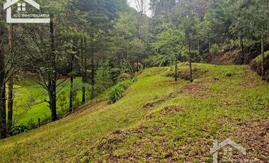 BONITO TERRENO EN MINERAL DEL CHICO CARBONERAS