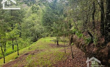 BONITO TERRENO EN MINERAL DEL CHICO CARBONERAS