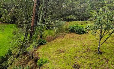 BONITO TERRENO EN MINERAL DEL CHICO CARBONERAS