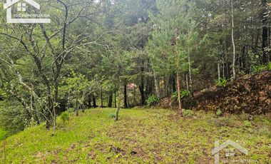 BONITO TERRENO EN MINERAL DEL CHICO CARBONERAS