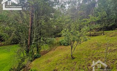BONITO TERRENO EN MINERAL DEL CHICO CARBONERAS