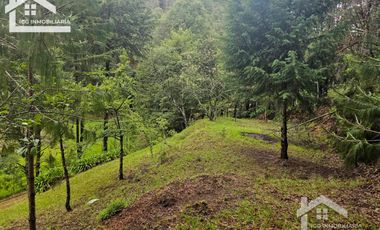 BONITO TERRENO EN MINERAL DEL CHICO CARBONERAS