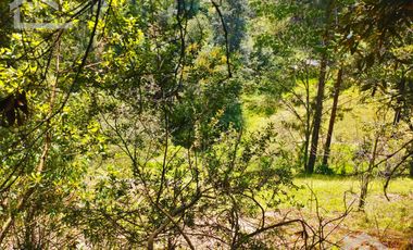 BONITO TERRENO EN MINERAL DEL CHICO CARBONERAS