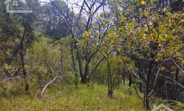 BONITO TERRENO EN MINERAL DEL CHICO CARBONERAS
