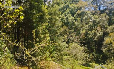 BONITO TERRENO EN MINERAL DEL CHICO CARBONERAS