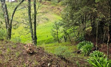 BONITO TERRENO EN MINERAL DEL CHICO CARBONERAS