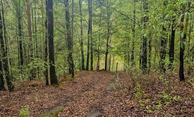 BONITO TERRENO EN MINERAL DEL CHICO CARBONERAS
