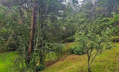 BONITO TERRENO EN MINERAL DEL CHICO CARBONERAS