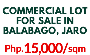 2.3 HECTARES COMMERCIAL LOT FOR SALE IN BALABAGO JARO