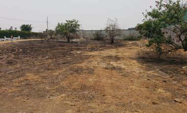 TERRENO EN VENTA EN ATLIXCO PUEBLA 1,350 M2