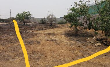 TERRENO EN VENTA EN ATLIXCO PUEBLA 1,350 M2