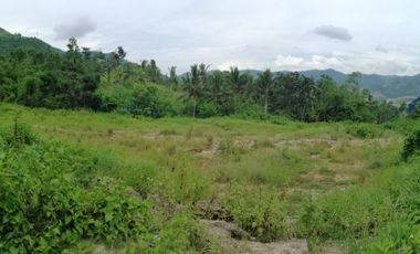 Lot for Sale at Naga City Cebu Ideal for Light Industrial Use