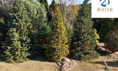 Villarrica parcelas en venta sector los Guindos a un costado del Colegio Alemán Camino Villarrica Pucón VTAP157