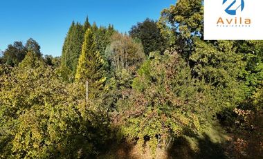 Villarrica parcelas en venta sector los Guindos a un costado del Colegio Alemán Camino Villarrica Pucón VTAP157