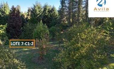 Villarrica parcelas en venta sector los Guindos a un costado del Colegio Alemán Camino Villarrica Pucón VTAP157