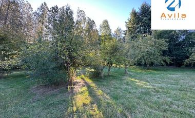 Villarrica parcelas en venta sector los Guindos a un costado del Colegio Alemán Camino Villarrica Pucón VTAP157