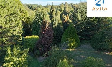 Villarrica parcelas en venta sector los Guindos a un costado del Colegio Alemán Camino Villarrica Pucón VTAP157