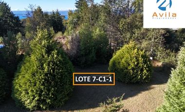 Villarrica parcelas en venta sector los Guindos a un costado del Colegio Alemán Camino Villarrica Pucón VTAP157